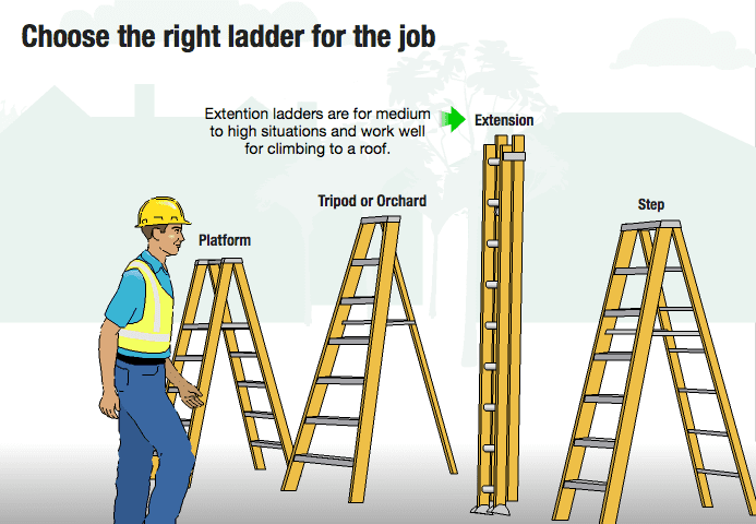 Privacy Overview. ladder safety. 