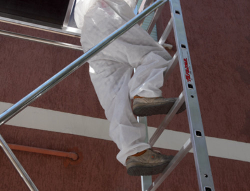 RAPIDO System scaffold