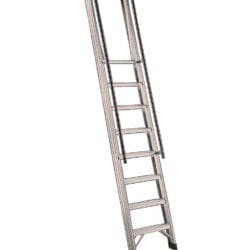 GSVESCGIOR10