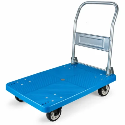 RAPLT300